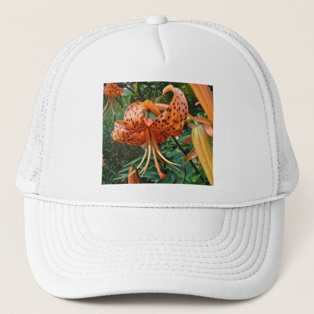 Lily Fleur sauvage, Casquette de Turk (Devant)