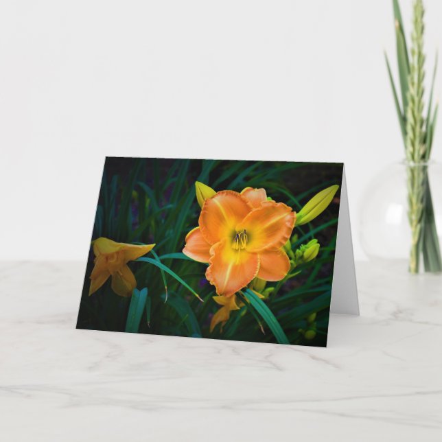 Lily, Karte (Vorderseite)