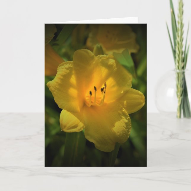 Lily, Karte (Vorderseite)