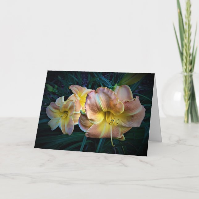 Lily, Karte (Vorderseite)