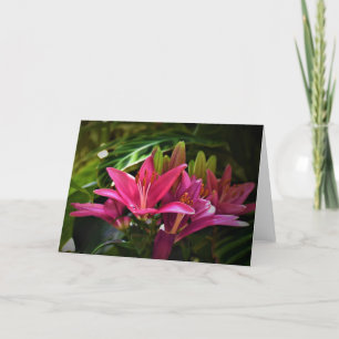 Lily, Karte