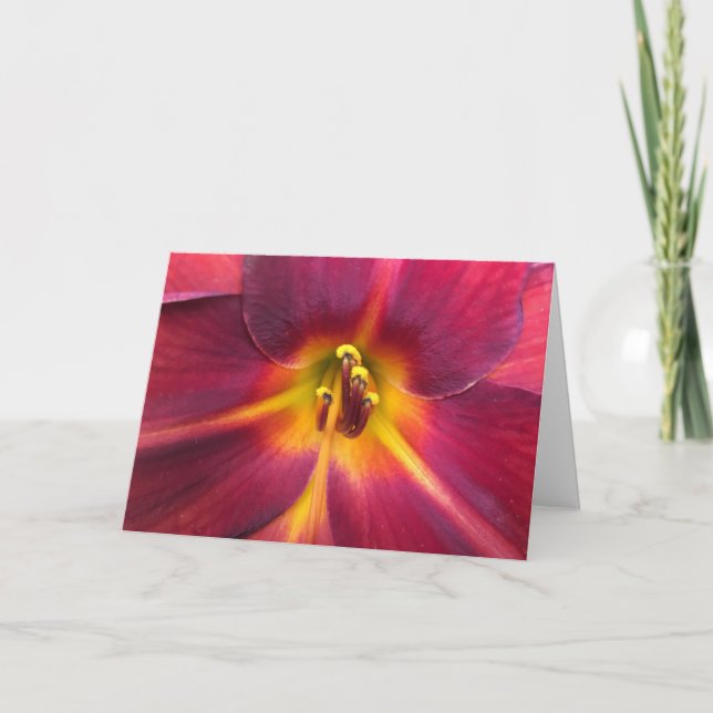 Lily, Karte (Vorderseite)