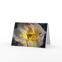 Lily, Karte