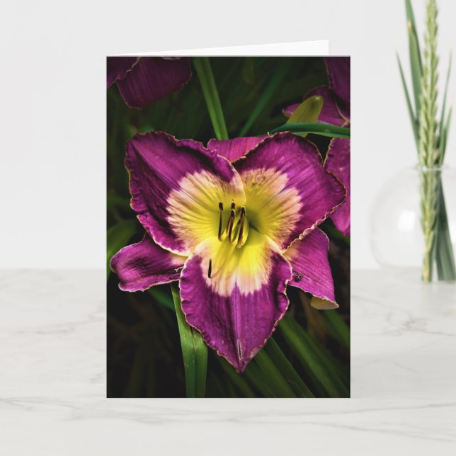 Lily & Ladybug, carte (Devant)