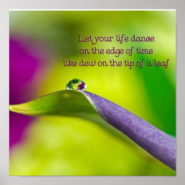 Lily Leaf Poster (Vorne)