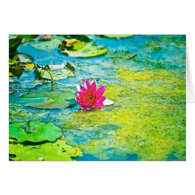 Lily Lilypad (Devant Horizontal)