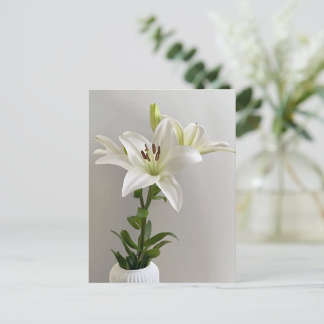 Lily Lullaby | Weiße einfache Blumenbemalung Postkarte (Stehend Vorderseite)