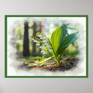 Lily of the tal National Blume Finnland   Poster