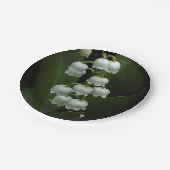 Lily of the Valley-0308 Pappteller (Schrägansicht)