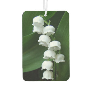 Lily of the Valley Autolufterfrischer