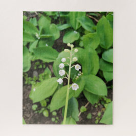 Lily of the Valley Blume