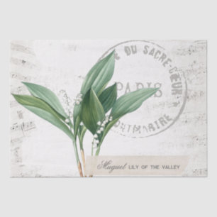 Lily of the Valley Blume Französisch Musik Decoupa Seidenpapier