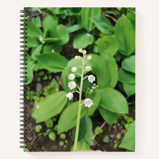 Lily of the Valley Blume Notizbuch (Vorderseite)