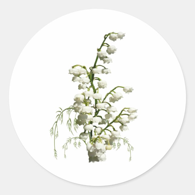 Lily of the Valley Blume Runder Aufkleber (Vorderseite)