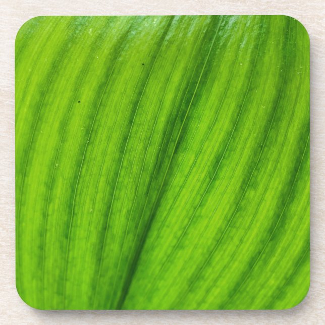 Lily of the Valley Getränkeuntersetzer (Vorderseite)