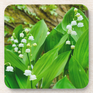 Lily of the Valley Getränkeuntersetzer