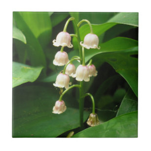 Lily of the Valley Keramik Tile Fliese