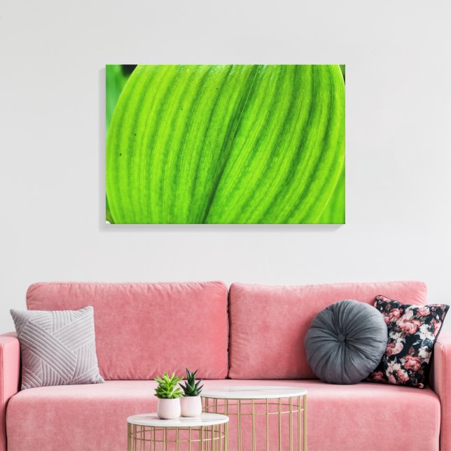 Lily of the Valley Leinwanddruck (Insitu (Wohnzimmer))