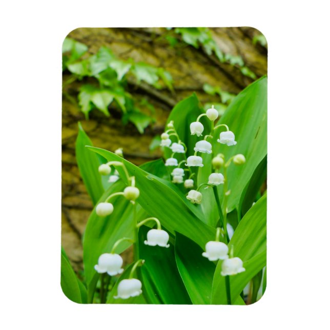 Lily of the Valley Magnet (Vertikal)