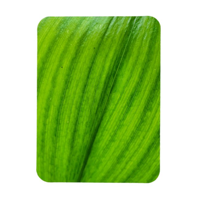 Lily of the Valley Magnet (Vertikal)