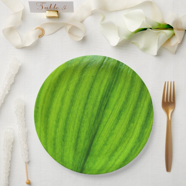 Lily of the Valley Paper Plate Pappteller (Hochzeit)