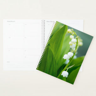 Lily of the Valley Planer