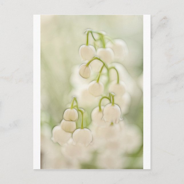 Lily of the Valley Postkarte (Vorderseite)