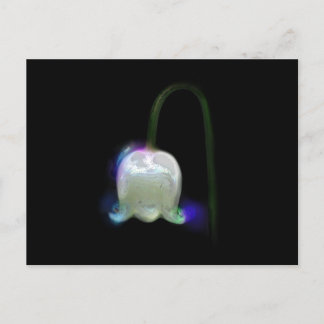 LILY OF THE VALLEY POSTKARTE