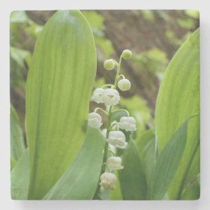 Lily of the Valley Steinuntersetzer