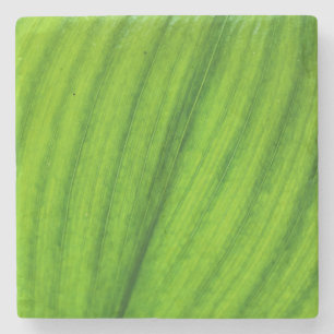 Lily of the Valley Steinuntersetzer