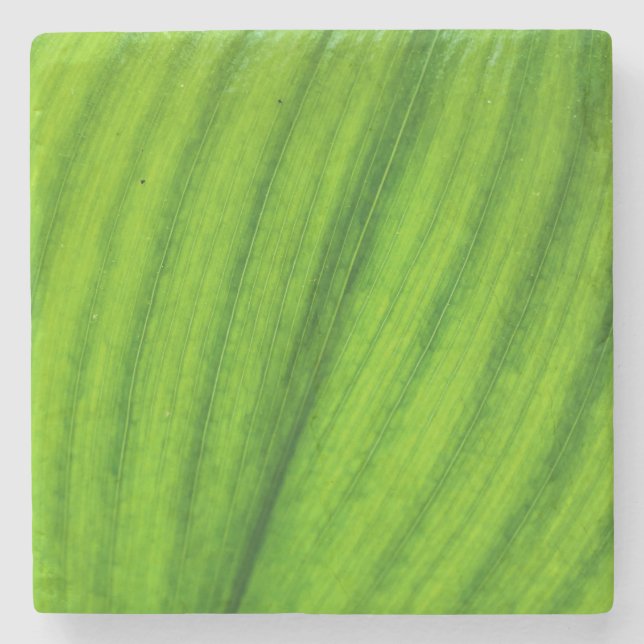 Lily of the Valley Steinuntersetzer (Vorderseite)