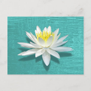 Lily on Aquamarine Ripples Postkarte