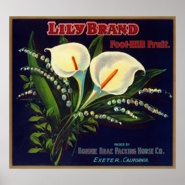 Lily Orange LabelExeter, CA Poster (Vorne)