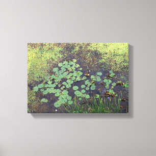 Lily Pad auf Leinwand