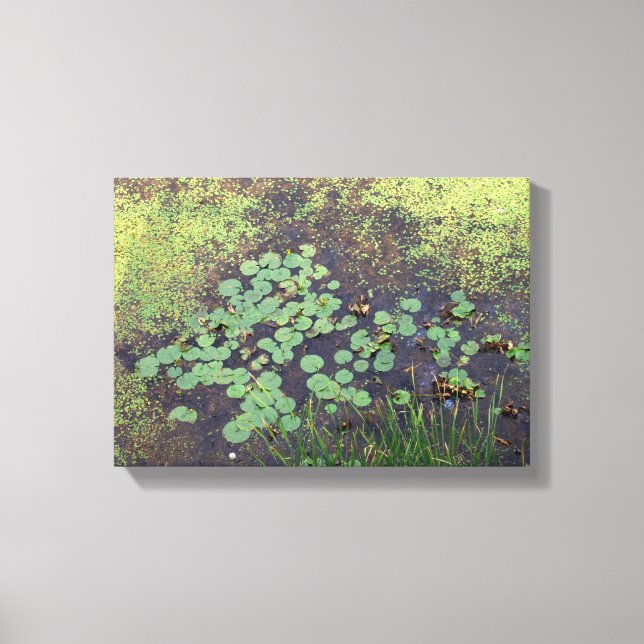 Lily Pad auf Leinwand (Vorderseite)