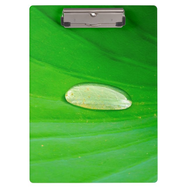 Lily Pad Clipboard Klemmbrett (Vorderseite)