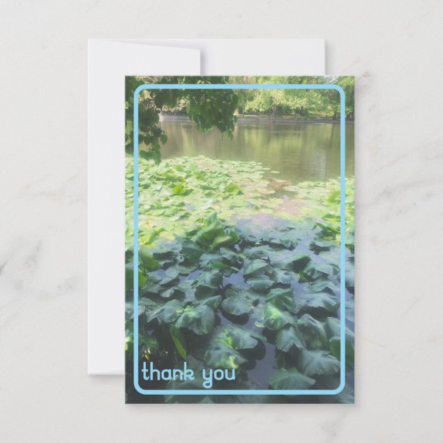Lily Pad Dankycard Dankeskarte (Vorderseite)