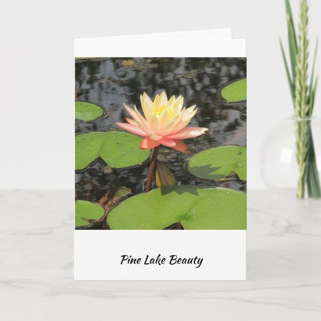 Lily Pad Schönheit! Karte (Vorderseite)