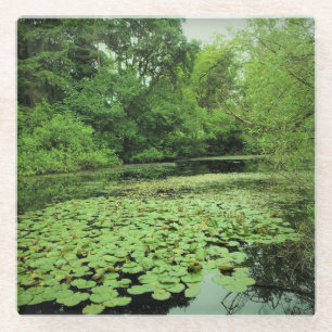 Lily Pads auf dem Teich Glasuntersetzer