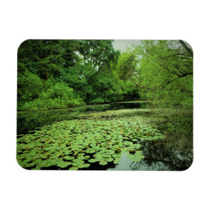 Lily Pads auf dem Teich Magnet