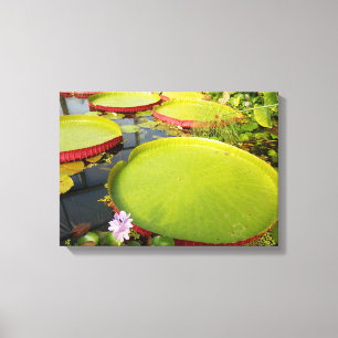 Lily Pads Canvas Print Leinwanddruck