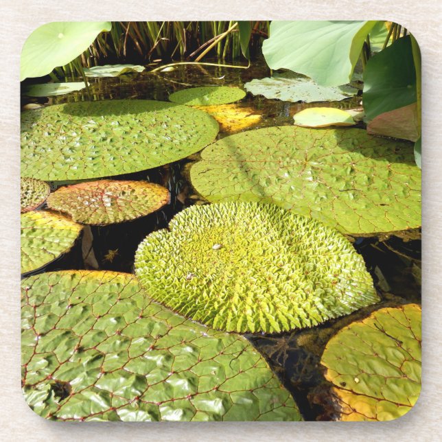 Lily Pads Hard Plastic Untersetzer (Vorderseite)