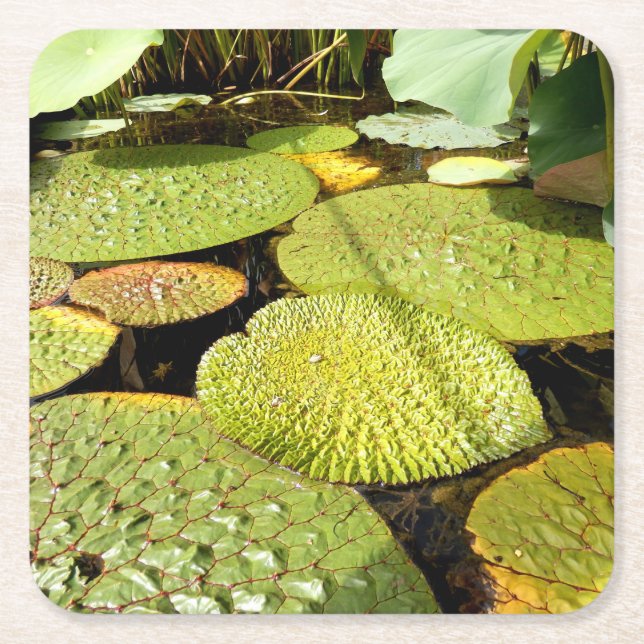 Lily Pads Paper Coaster Rechteckiger Pappuntersetzer (Vorderseite)