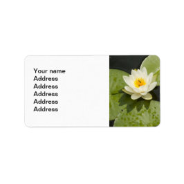 Lily Pads und White Lotus Blume Adressaufkleber