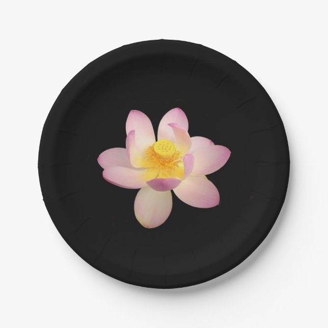 Lily Paper Plate Pappteller (Vorderseite)