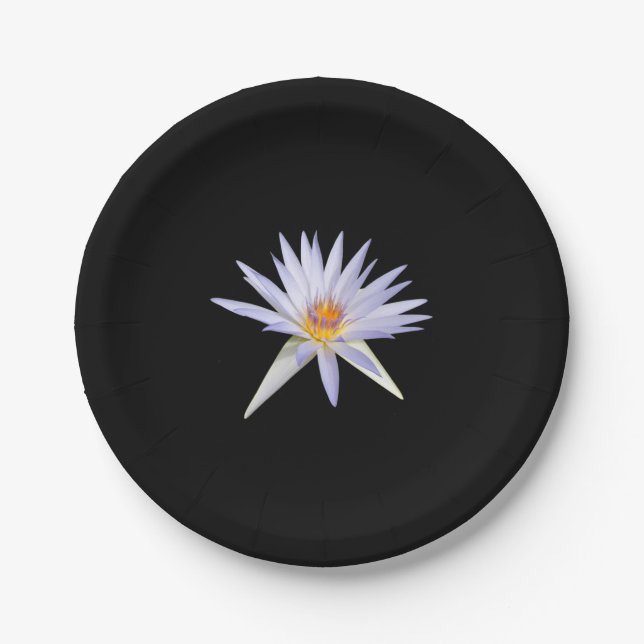 Lily Paper Plate Pappteller (Vorderseite)