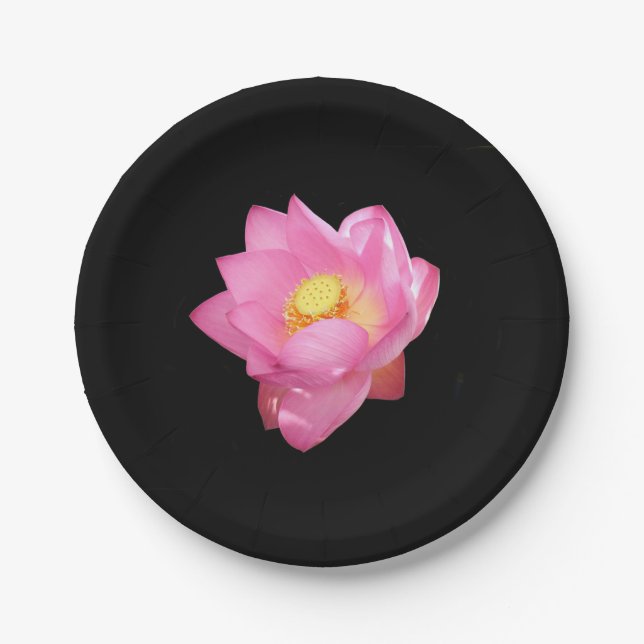 Lily Paper Plate Pappteller (Vorderseite)