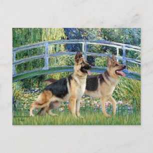 Lily Pond Bridge - Zwei deutsche Schäferhunde Postkarte