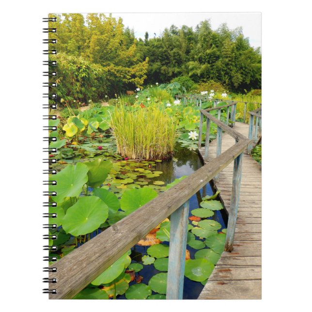 Lily Pond Foto Notebook Notizblock (Vorderseite)