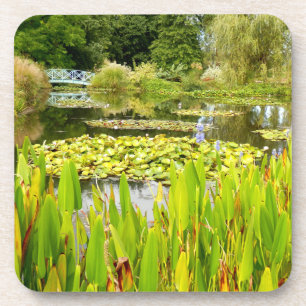 Lily Pond Hartplastik-Getränkeuntersetzer Getränkeuntersetzer